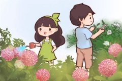 如果我有一个小院子
