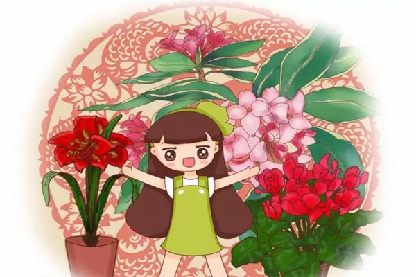 6种洋气的年宵花 6种洋气的年宵花