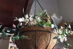 把花吊上天花板