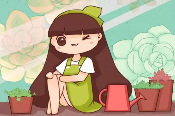 花盆别买了 花盆别买了