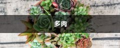 立秋这么晒太阳
