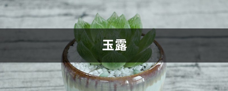 1根线几块板 1根线几块板