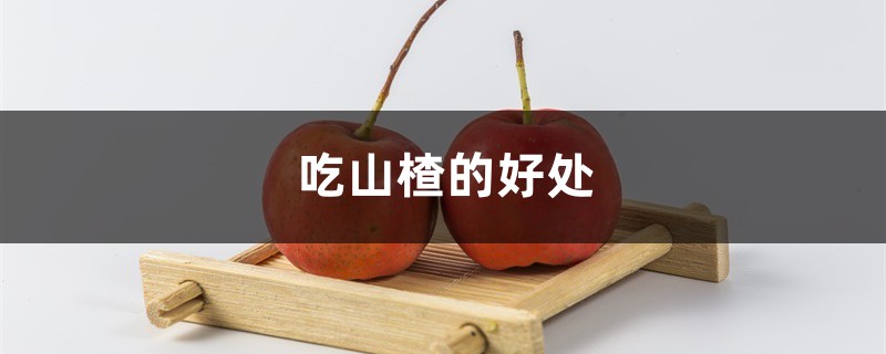 吃山楂的好处 吃山楂的好处