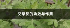 艾草灰的功效与作用