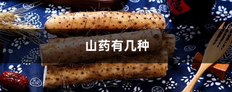 山药有几种 山药有几种