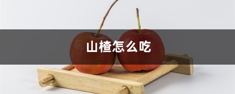 山楂怎么吃 山楂怎么吃