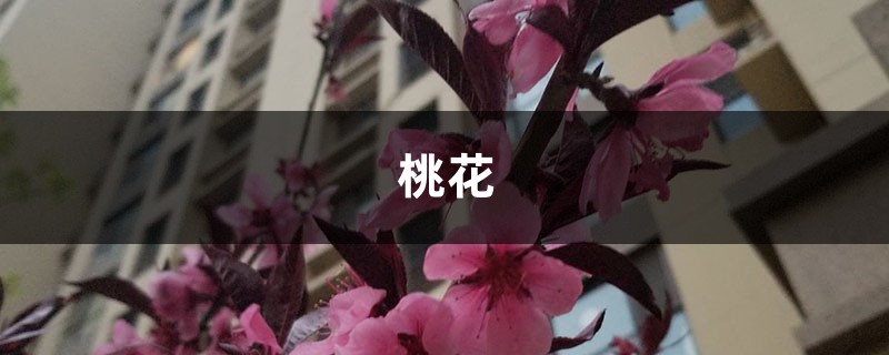 家里这个位置 家里这个位置