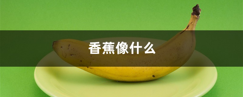 香蕉像什么 香蕉像什么