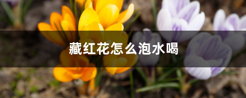 藏红花怎么泡水喝 藏红花怎么泡水喝