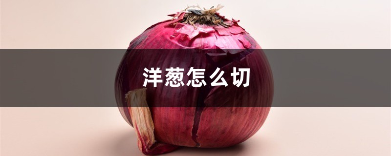 洋葱怎么切 洋葱怎么切
