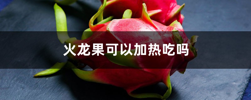 火龙果可以加热吃吗 火龙果可以加热吃吗
