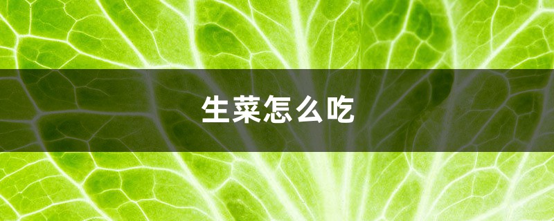 生菜怎么吃 生菜怎么吃