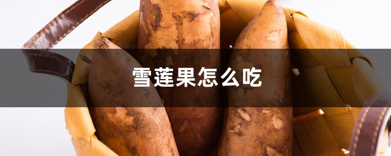 雪莲果怎么吃 雪莲果怎么吃