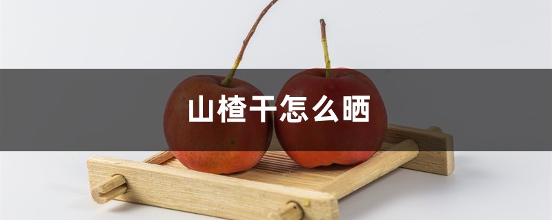 山楂干怎么晒 山楂干怎么晒