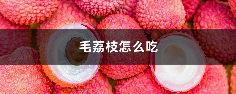 毛荔枝怎么吃 毛荔枝怎么吃