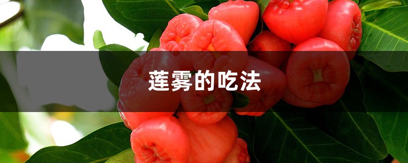 莲雾好吃吗 莲雾好吃吗
