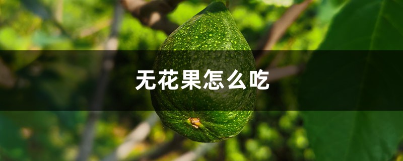 无花果怎么吃 无花果怎么吃