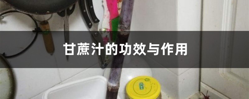 甘蔗汁的功效与作用 甘蔗汁的功效与作用