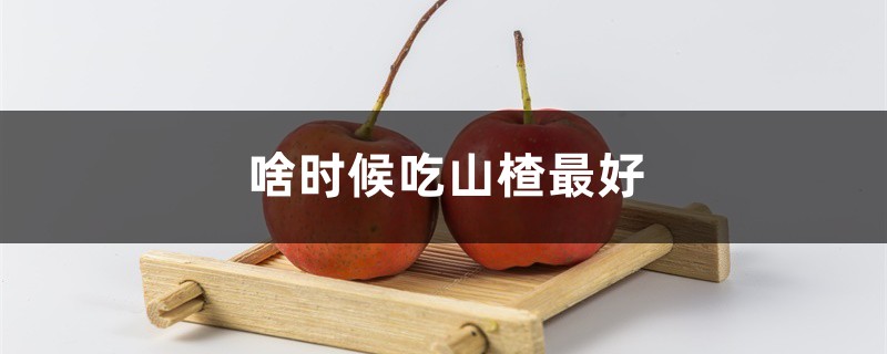 啥时候吃山楂最好 啥时候吃山楂最好