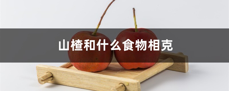 山楂和什么食物相克 山楂和什么食物相克