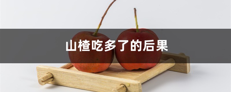 山楂吃多了的后果 山楂吃多了的后果