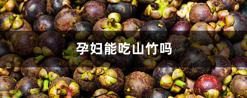 孕妇能吃山竹吗 孕妇能吃山竹吗