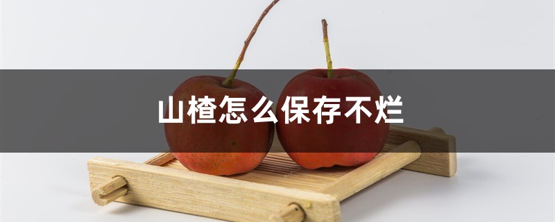 山楂怎么保存不烂 山楂怎么保存不烂