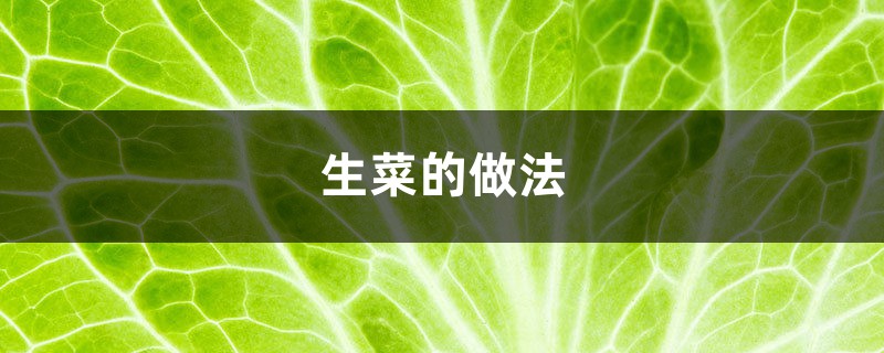 生菜的做法 生菜的做法