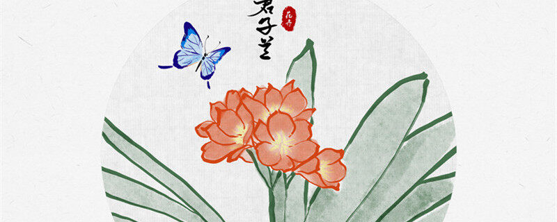 君子兰10天浇一次水可以吗 君子兰10天浇一次水可以吗