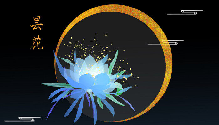 昙花是什么 昙花是什么