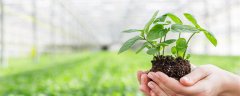 植物角区域规则