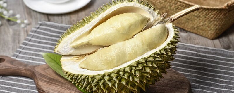 榴莲广东可以种植吗 榴莲广东可以种植吗