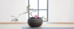 油桶做花盆图片 制作方法