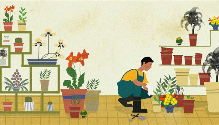 花泥怎么用 花泥怎么用