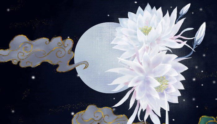 五瓣花的花语和寓意 五瓣花的花语和寓意