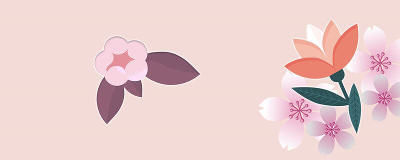 兰花的花语及传说 兰花的花语及传说
