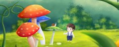 陆地上存在发光的植物吗