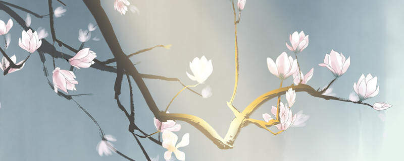 玉兰花枝条可以水培吗 玉兰花枝条可以水培吗