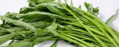 12月份可以种空心菜吗