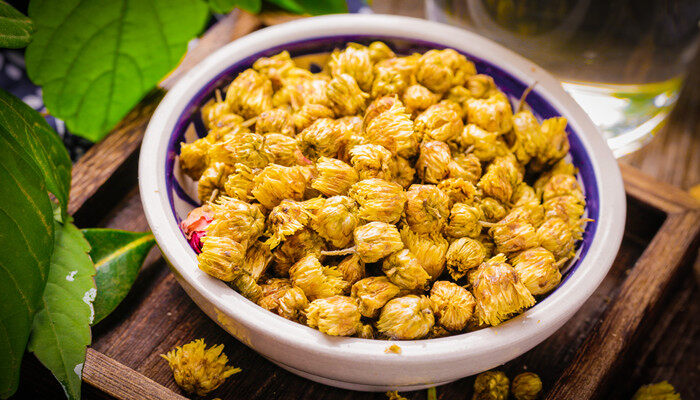 菊花和胎菊有什么区别 菊花和胎菊有什么区别