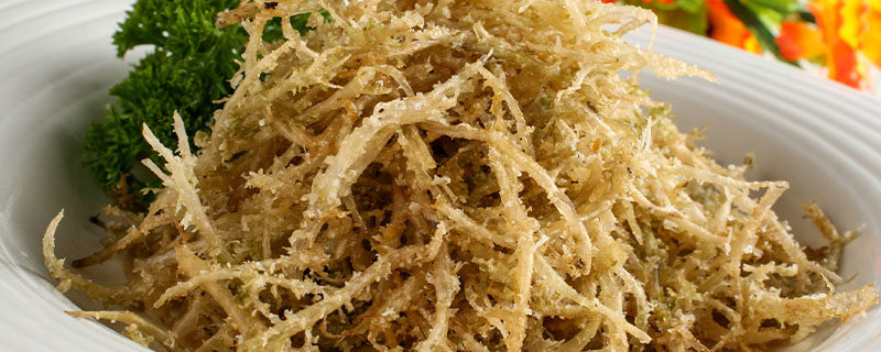 鹿角菜是从哪里长出来的 鹿角菜是从哪里长出来的