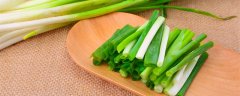 葱怎么种