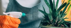 5公斤水溶肥能抵多少复合肥