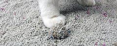 猫砂可以种花吗 膨润土