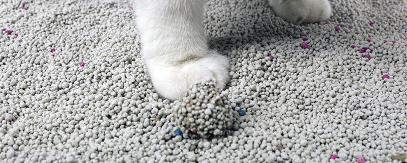 猫砂可以种花吗 膨润土 猫砂可以种花吗 膨润土