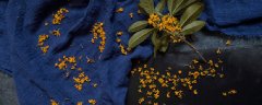 沉香桂是什么桂花品种