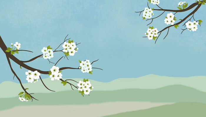 二月花是什么意思 二月花是什么意思