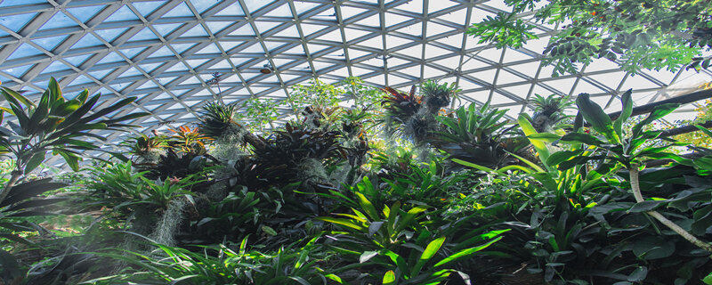 植物园有啥 植物园有啥