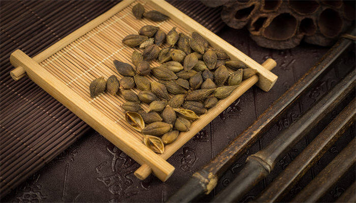 粘裤子的草籽叫什么 粘裤子的草籽叫什么