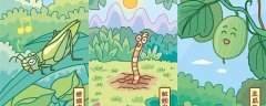 吊瓜子种植栽培方法